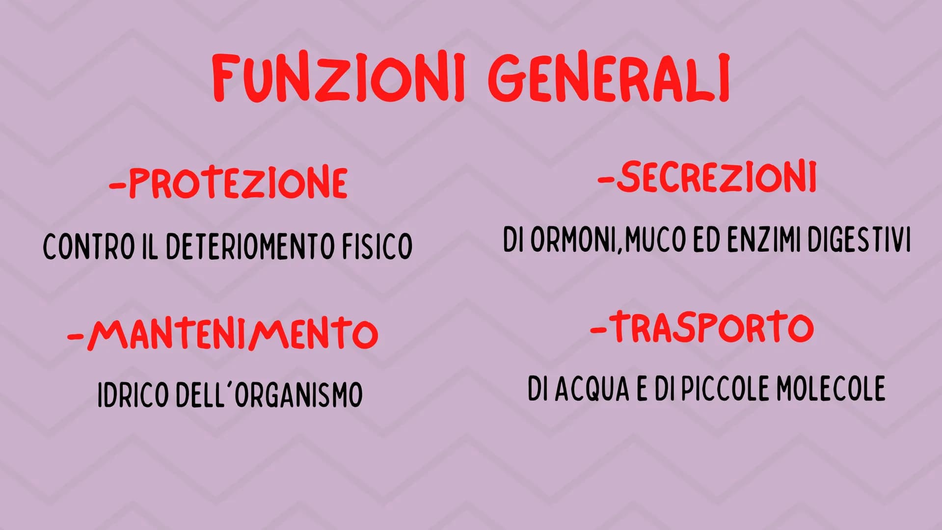 TESSUTO
EPITELIALE
OUT CHE COS'È?
IL TESSUTO EPITELIALE È UNO DEI QUATTRO TIPI FONDAMENTALI DI
TESSUTO CHE COMPONGONO IL NOSTRO CORPO E QUEL