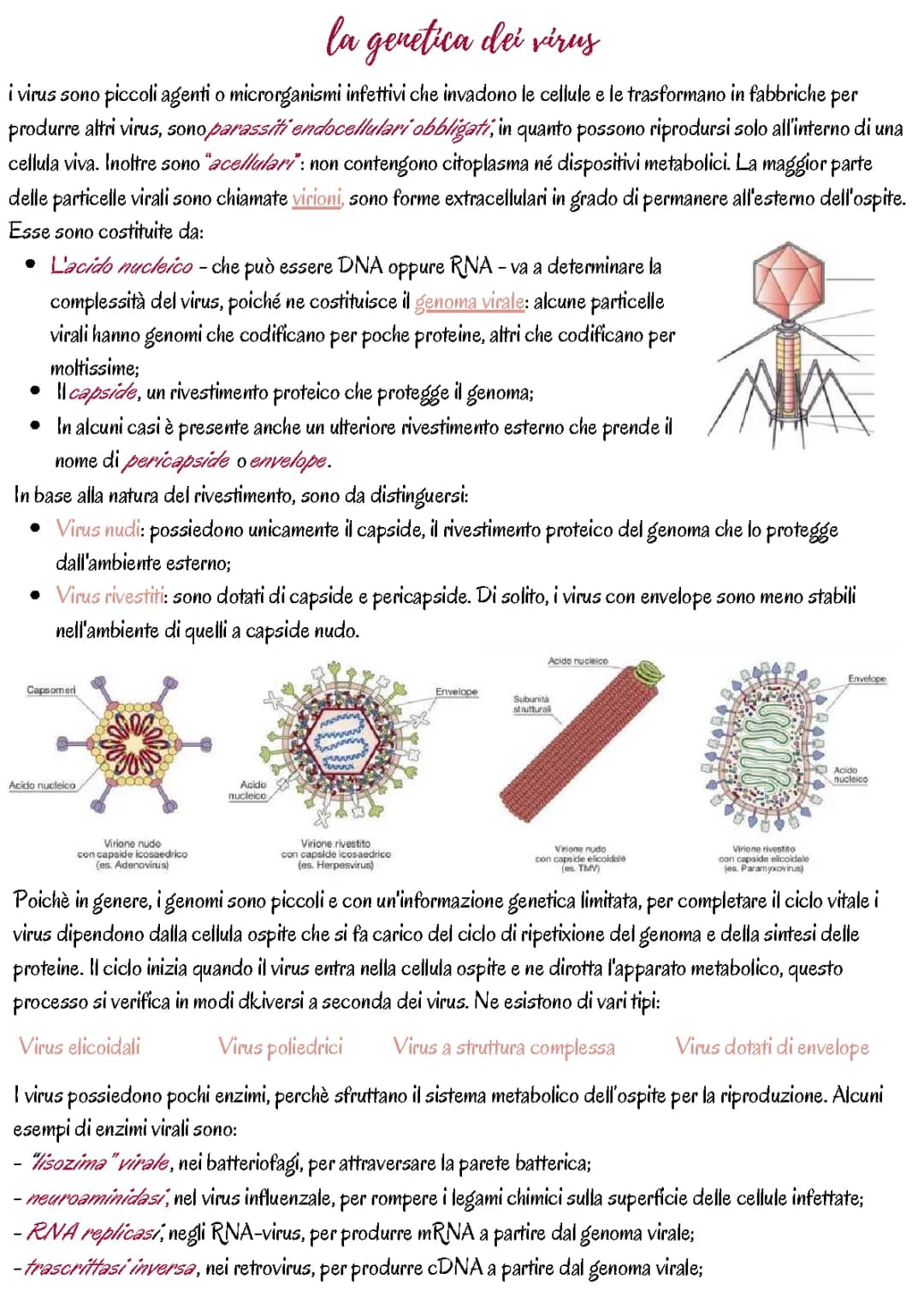la genetica dei virus