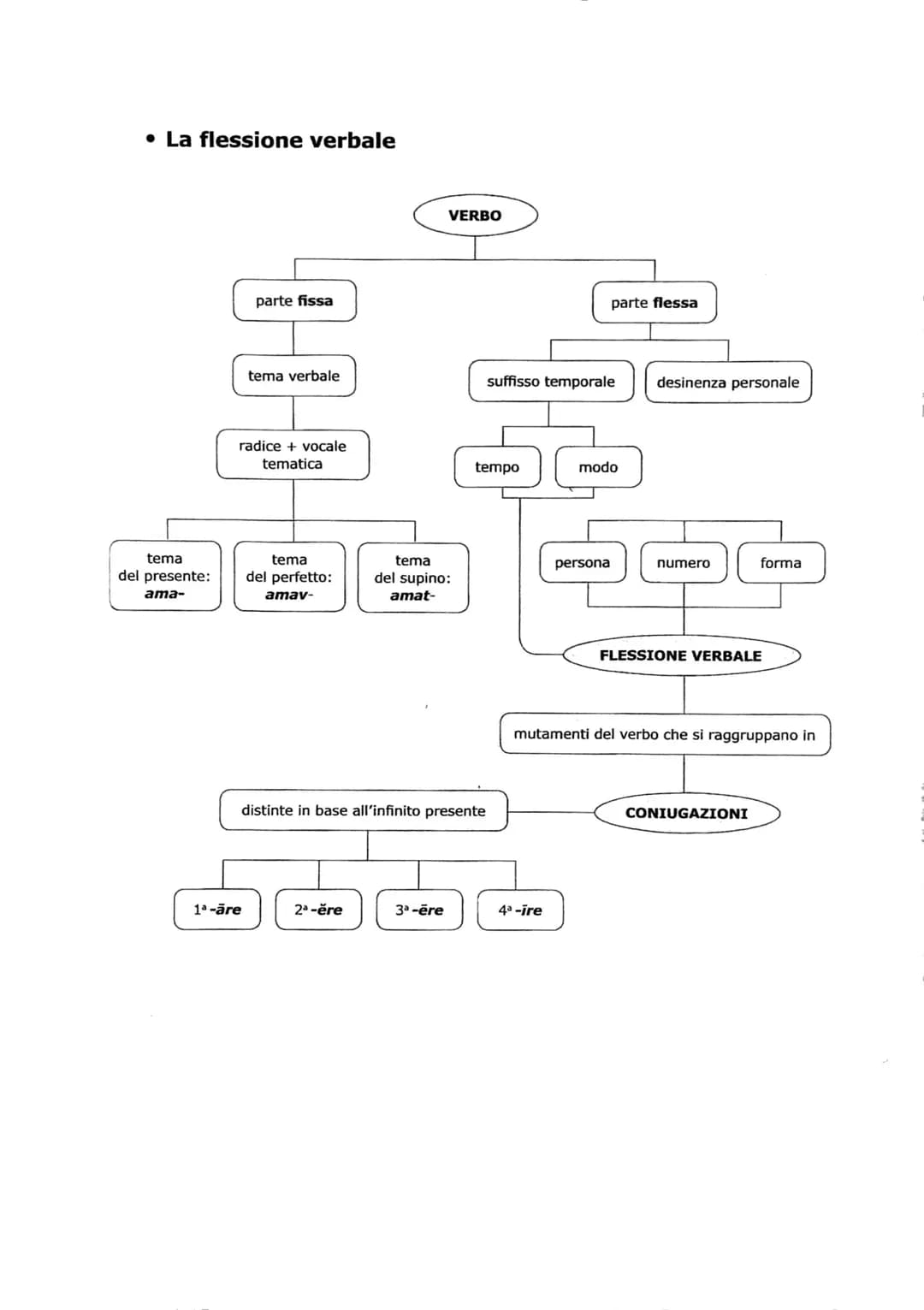 Super Mappe di Grammatica Latina – Ripasso Estivo Completo per il Ginnasio