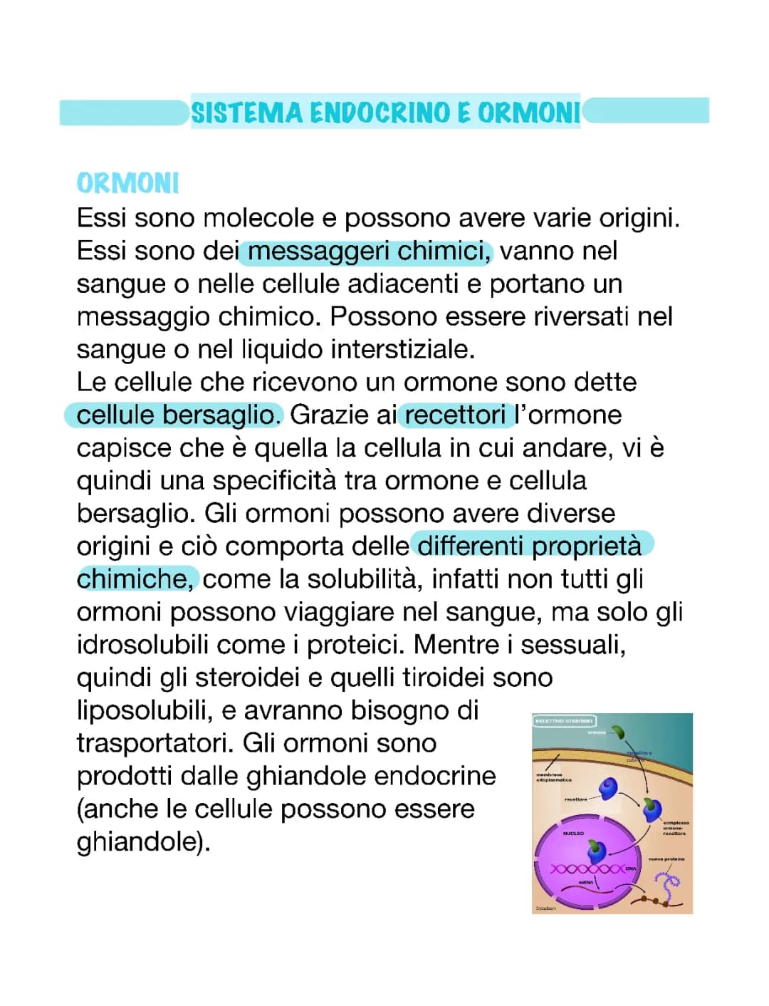 SISTEMA ENDOCRINO E ORMONI