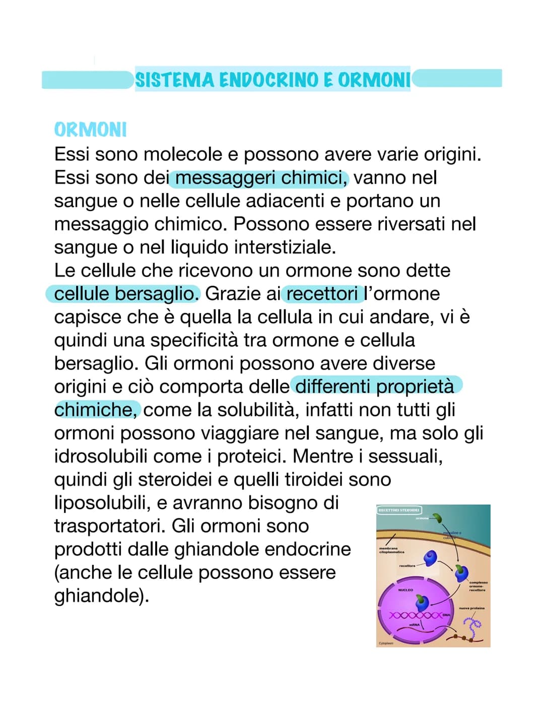 SISTEMA ENDOCRINO E ORMONI
ORMONI
Essi sono molecole e possono avere varie origini.
Essi sono dei messaggeri chimici, vanno nel
sangue o nel