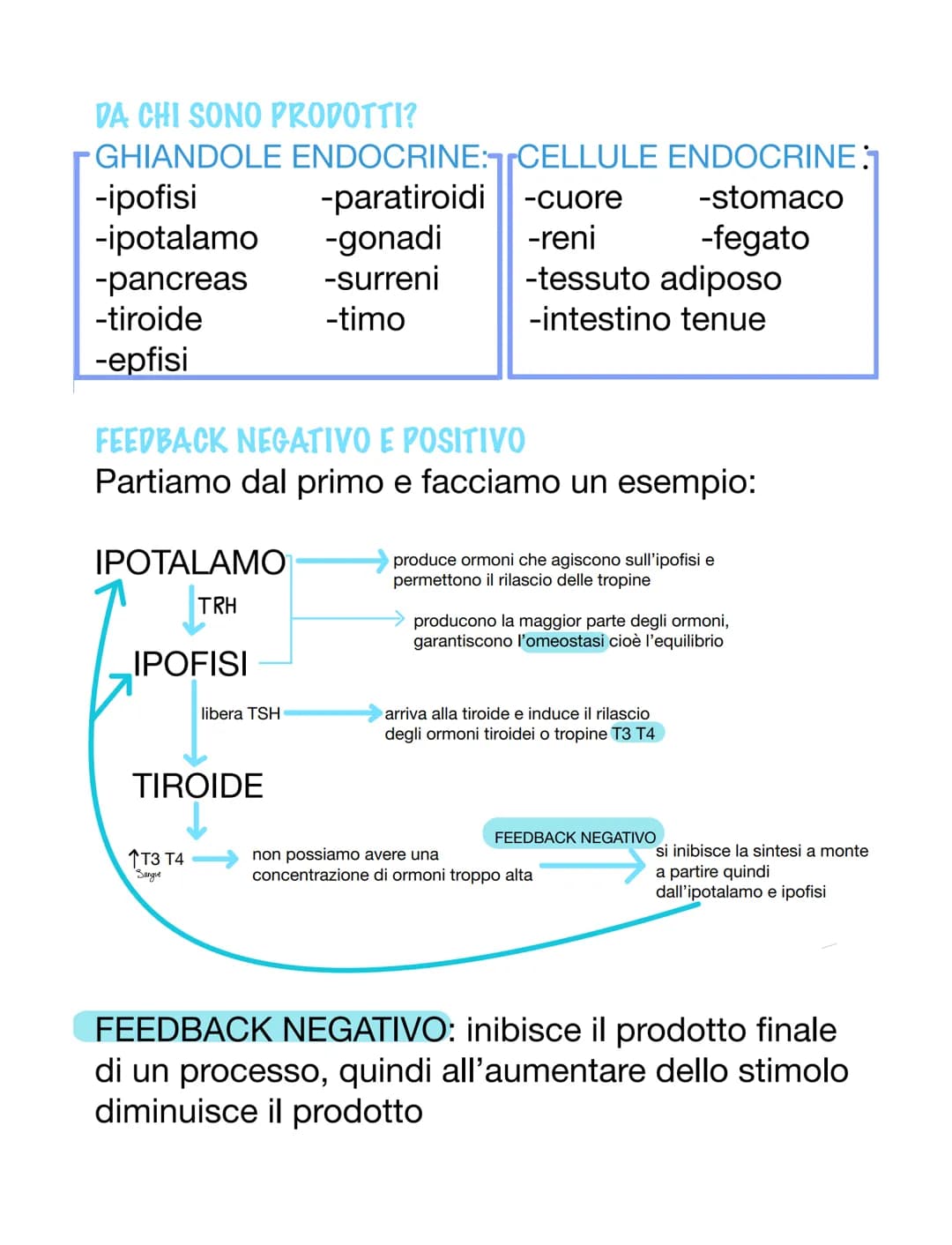 SISTEMA ENDOCRINO E ORMONI
ORMONI
Essi sono molecole e possono avere varie origini.
Essi sono dei messaggeri chimici, vanno nel
sangue o nel