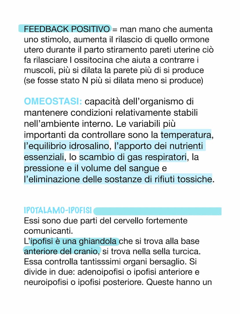 SISTEMA ENDOCRINO E ORMONI
ORMONI
Essi sono molecole e possono avere varie origini.
Essi sono dei messaggeri chimici, vanno nel
sangue o nel