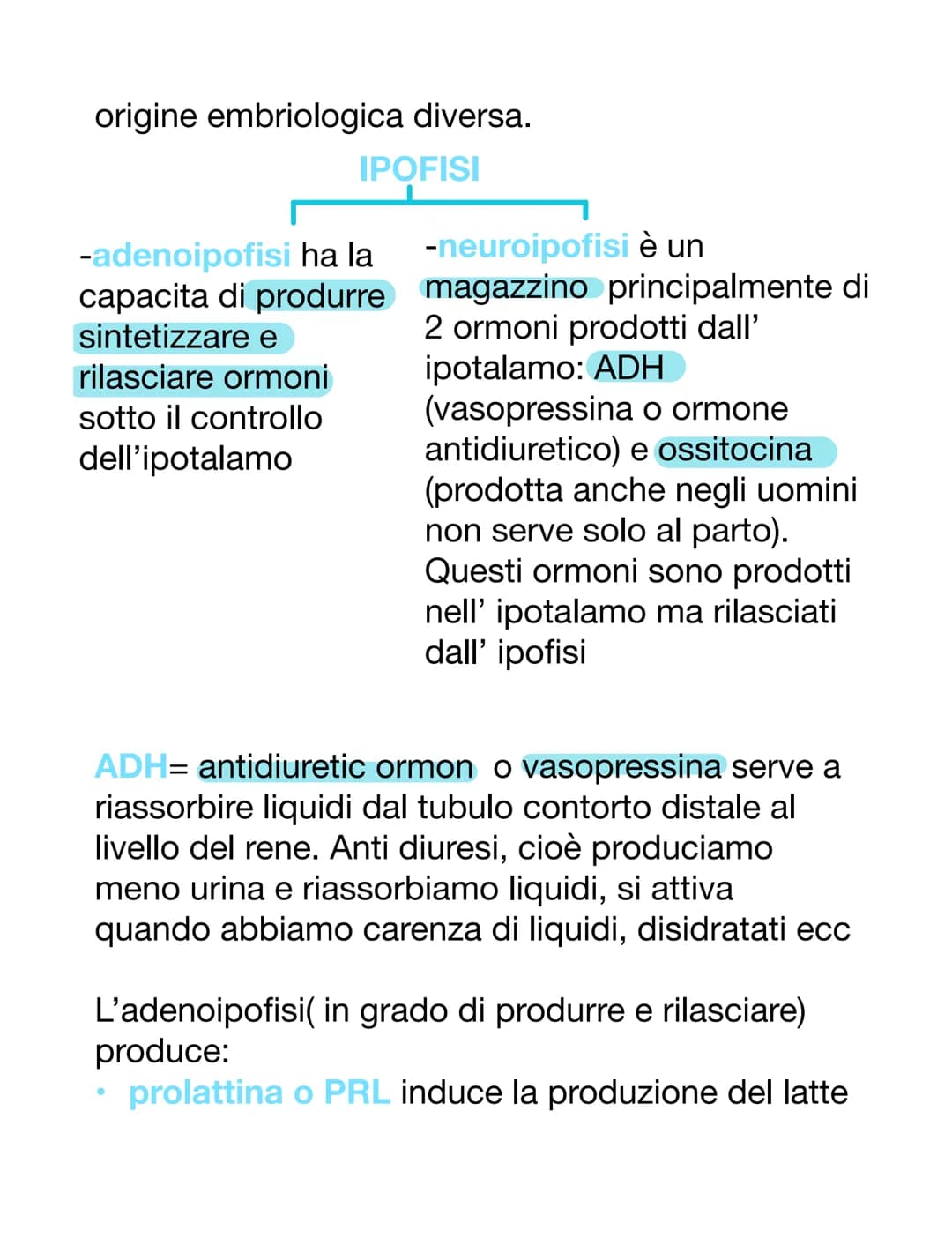 SISTEMA ENDOCRINO E ORMONI
ORMONI
Essi sono molecole e possono avere varie origini.
Essi sono dei messaggeri chimici, vanno nel
sangue o nel