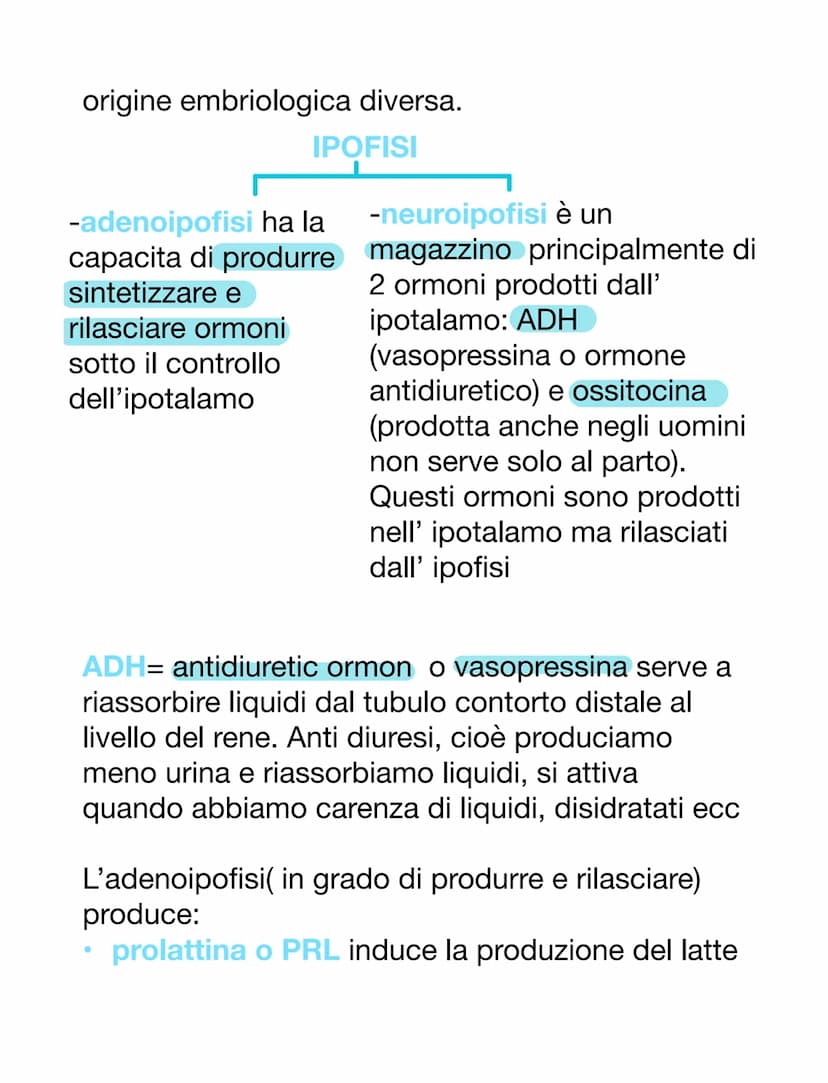 SISTEMA ENDOCRINO E ORMONI
ORMONI
Essi sono molecole e possono avere varie origini.
Essi sono dei messaggeri chimici, vanno nel
sangue o nel