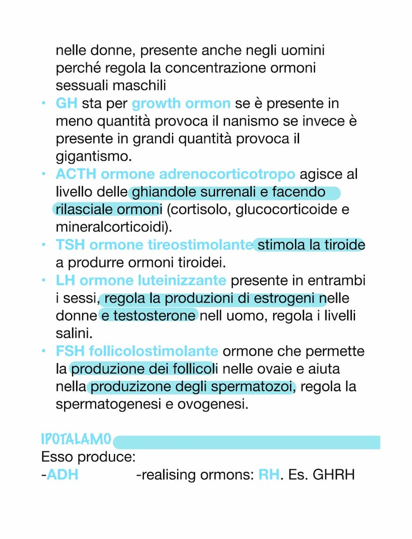 SISTEMA ENDOCRINO E ORMONI
ORMONI
Essi sono molecole e possono avere varie origini.
Essi sono dei messaggeri chimici, vanno nel
sangue o nel