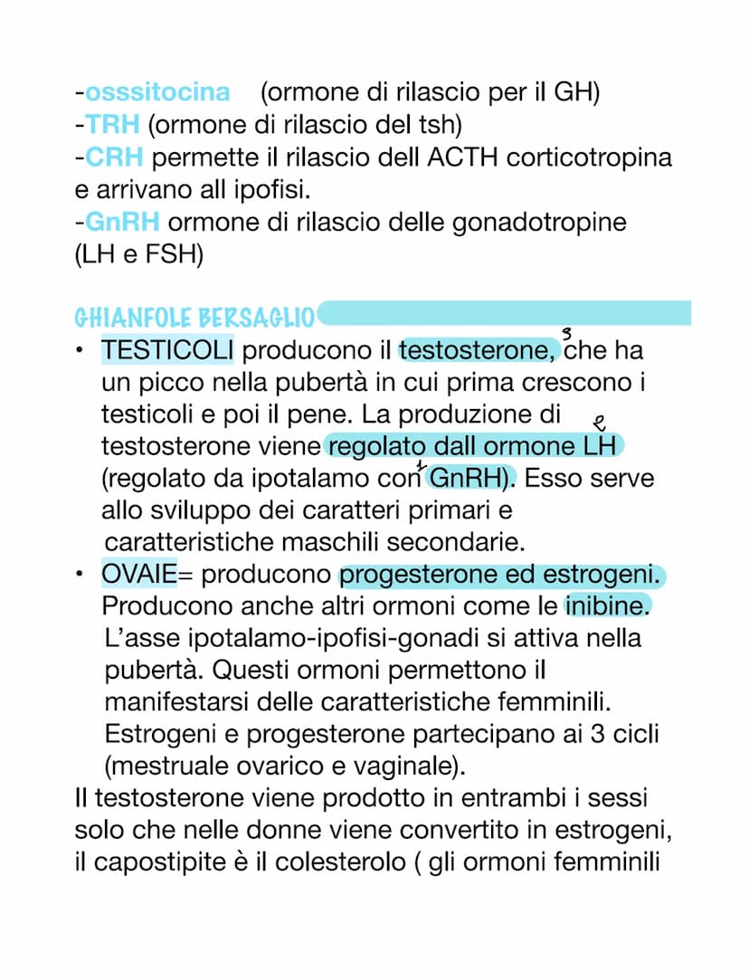 SISTEMA ENDOCRINO E ORMONI
ORMONI
Essi sono molecole e possono avere varie origini.
Essi sono dei messaggeri chimici, vanno nel
sangue o nel