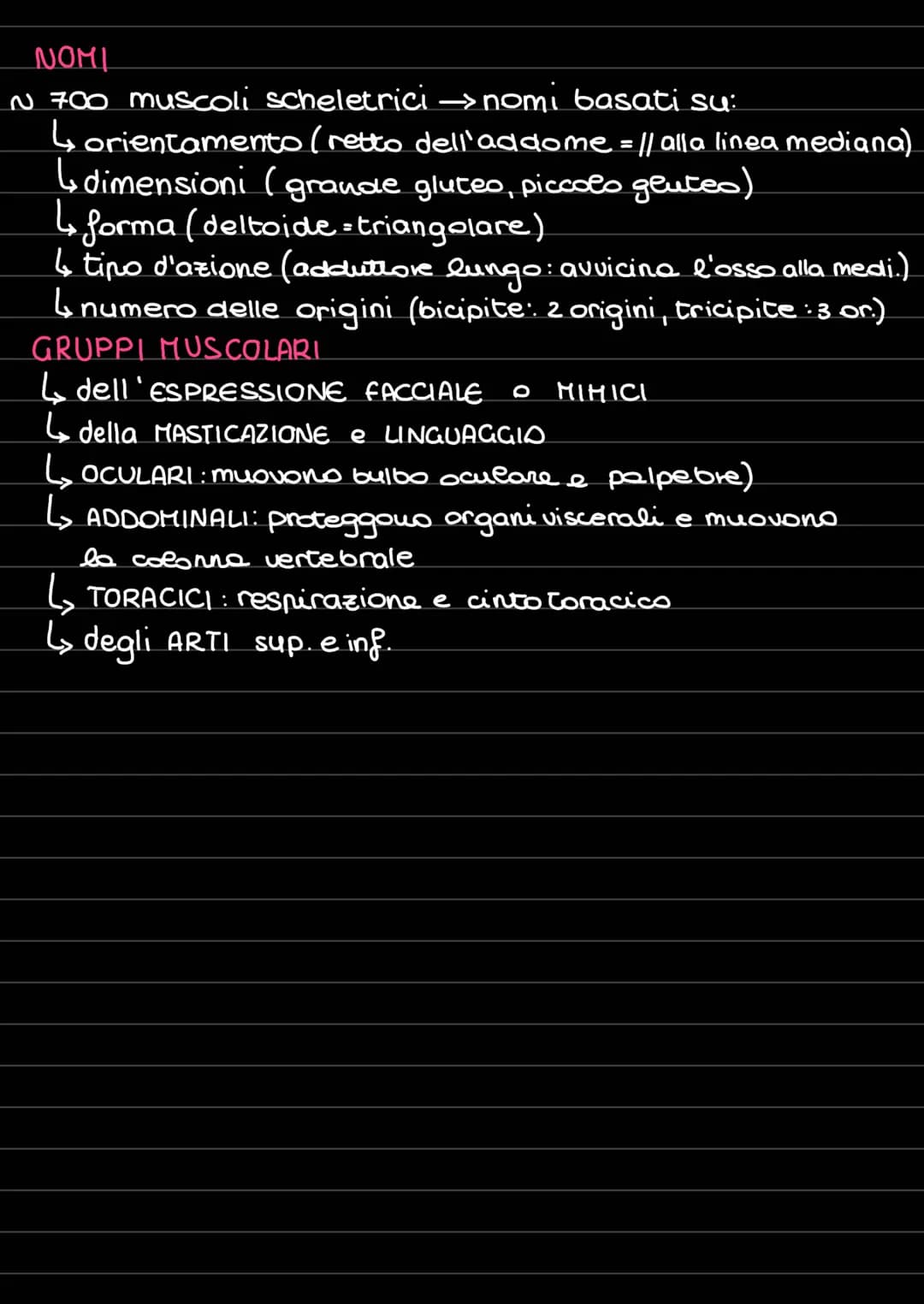 <h2 id="riassuntosultessutomuscolare">Riassunto sul Tessuto Muscolare</h2>
<p>Il tessuto muscolare può essere classificato in tre tipi princ