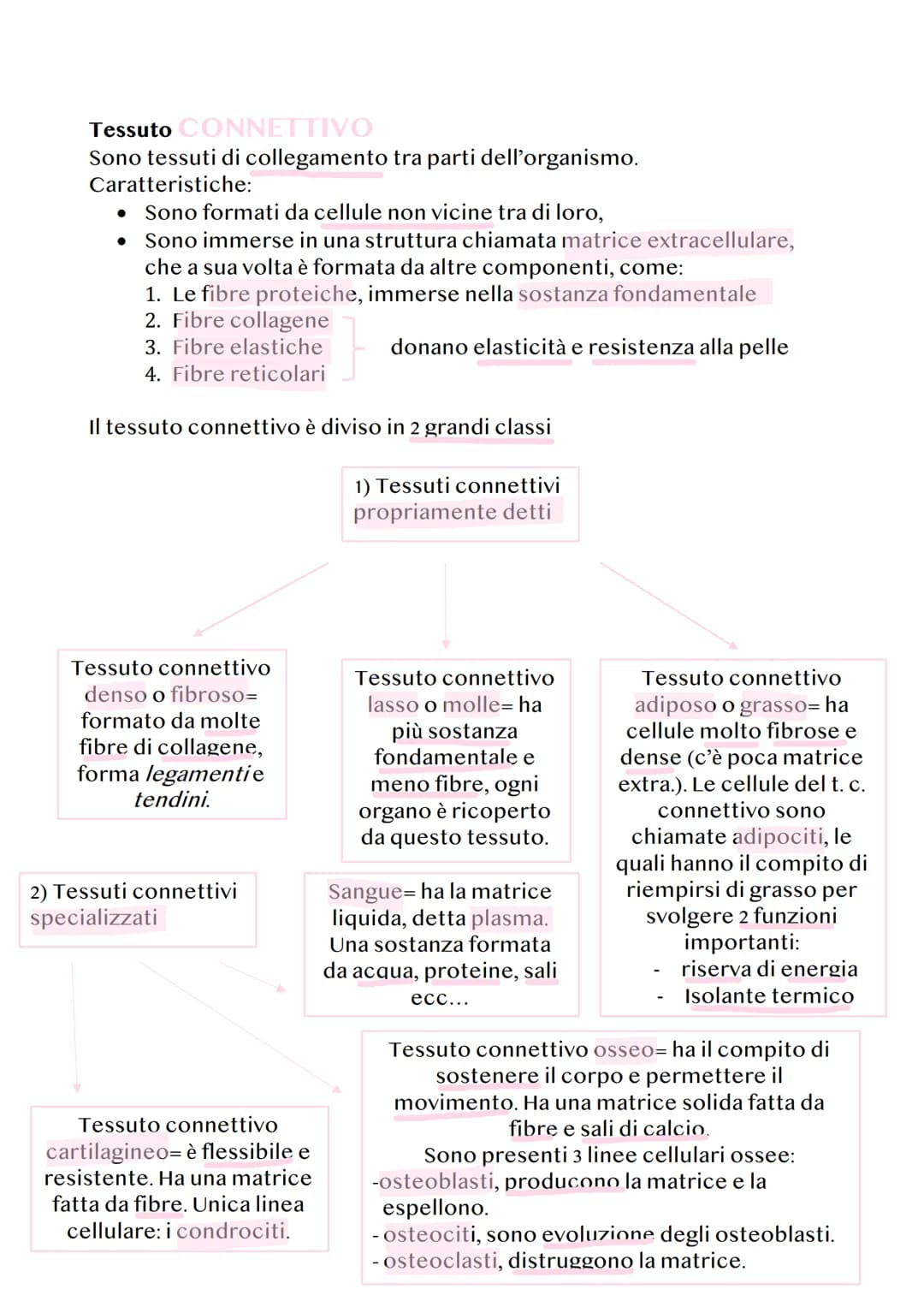 ANATOMIA E FISIOLOGIA
Anatomia= studia le parti del corpo umano.
Fisiologia= studia il funzionamento delle parti del corpo umano.
GENOMA
Ogn