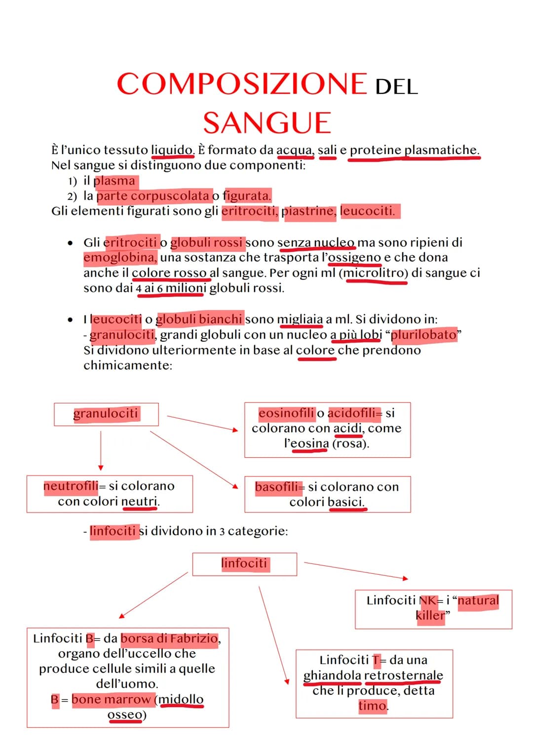 ANATOMIA E FISIOLOGIA
Anatomia= studia le parti del corpo umano.
Fisiologia= studia il funzionamento delle parti del corpo umano.
GENOMA
Ogn
