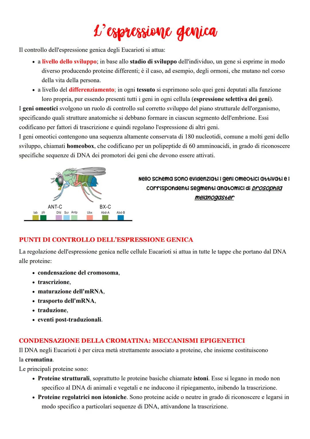 L’espressione genica 