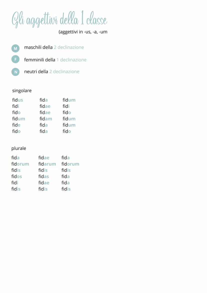 
<p>Le declinazioni latine sono un elemento fondamentale nella grammatica latina. Queste declinazioni includono cinque schemi principali, og