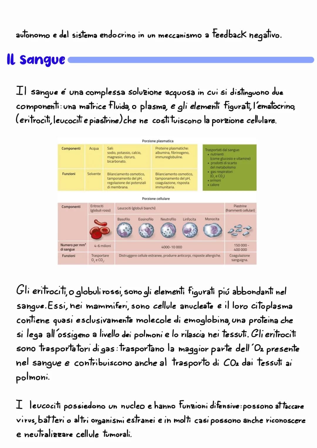 L'APPARATO
CARDIOVASCOLARE
L'apparato cardiovascolare e un sistema chiuso che trasporta nel sangue
i materiali da e verso tutte le regioni c