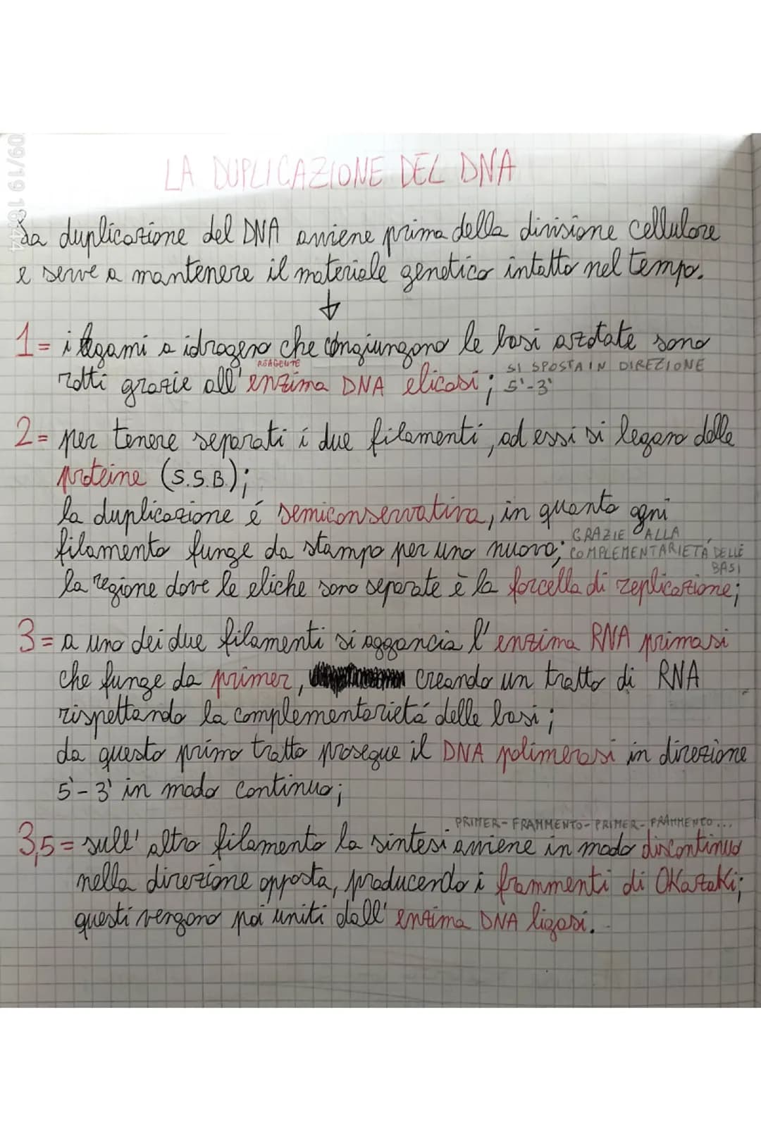 TERMINAZIONE = quando l'RNA plimerasi incontra delle sequente
di lasi dette sequenze d'arresto si stacca e
il nuoro filaments di RNA viene r