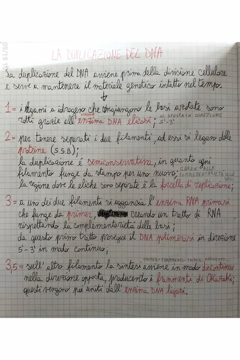 TERMINAZIONE = quando l'RNA plimerasi incontra delle sequente
di lasi dette sequenze d'arresto si stacca e
il nuoro filaments di RNA viene r