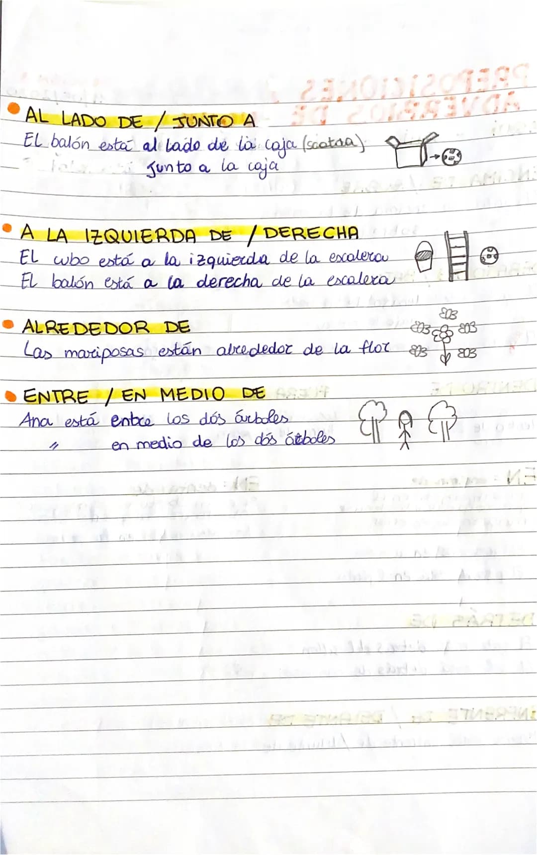 O PREPOSICIONES
ADVERBIOS DE LUGAR
Y
AQUÍ - AHÍ
ALLI
ENCIMA DE SOBRE
EL
gato
EL
-
DEBAJO DE / BAJO
El gato está debajo de la mesa.
bajo la m