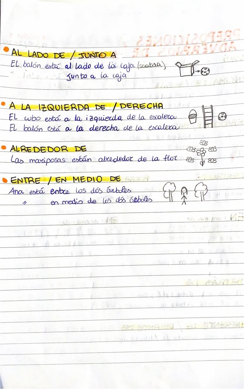 O PREPOSICIONES
ADVERBIOS DE LUGAR
Y
AQUÍ - AHÍ
ALLI
ENCIMA DE SOBRE
EL
gato
EL
-
DEBAJO DE / BAJO
El gato está debajo de la mesa.
bajo la m
