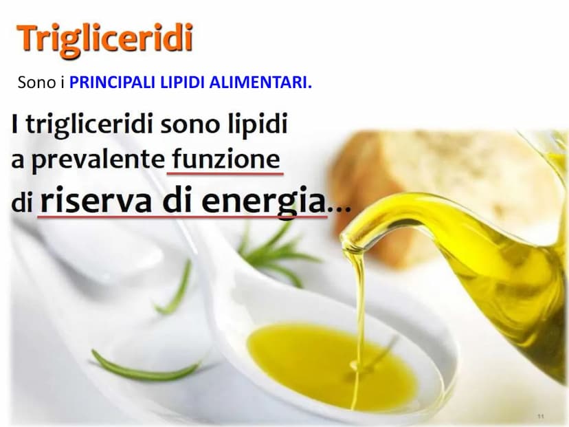 BIOMOLECOLE
LIPIDI GENERALITA'
• I lipidi sono:
▪la parola deriva dal greco lípos = grasso
▪caratterizzati da particolari proprietà di solub