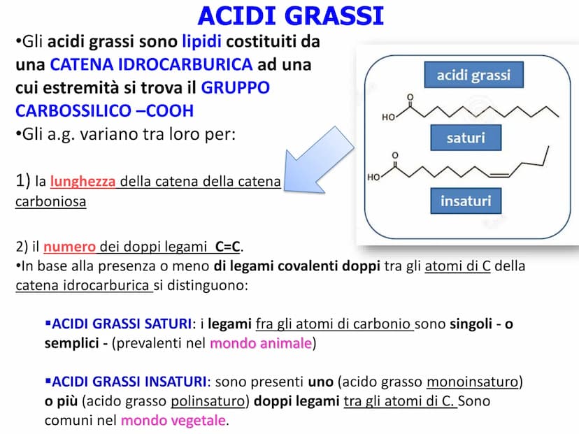 BIOMOLECOLE
LIPIDI GENERALITA'
• I lipidi sono:
▪la parola deriva dal greco lípos = grasso
▪caratterizzati da particolari proprietà di solub