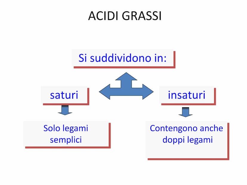 BIOMOLECOLE
LIPIDI GENERALITA'
• I lipidi sono:
▪la parola deriva dal greco lípos = grasso
▪caratterizzati da particolari proprietà di solub