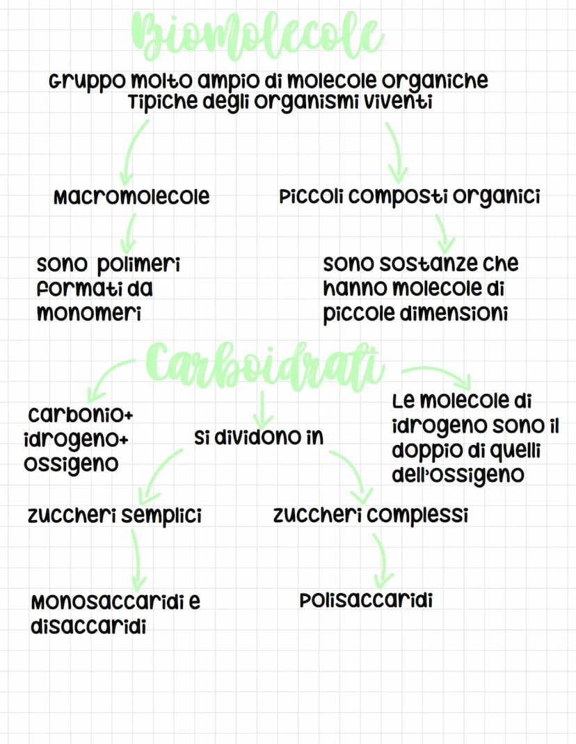 Chimica del carbonio
I composti che
contengono
carbonio sono
classificati come
composti organici
e E se ne occupa la
chimica organica.
I com
