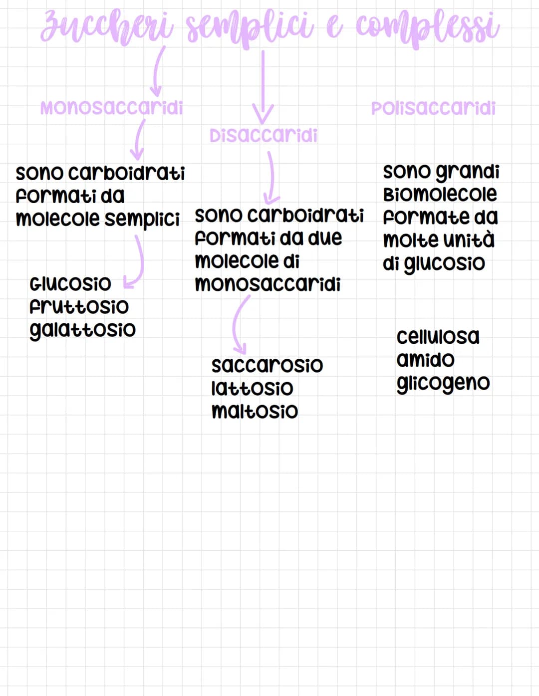 Chimica del carbonio
I composti che
contengono
carbonio sono
classificati come
composti organici
e E se ne occupa la
chimica organica.
I com
