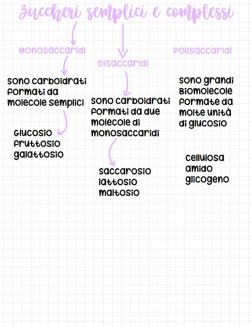 Chimica del carbonio
I composti che
contengono
carbonio sono
classificati come
composti organici
e E se ne occupa la
chimica organica.
I com