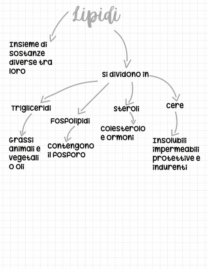 Chimica del carbonio
I composti che
contengono
carbonio sono
classificati come
composti organici
e E se ne occupa la
chimica organica.
I com