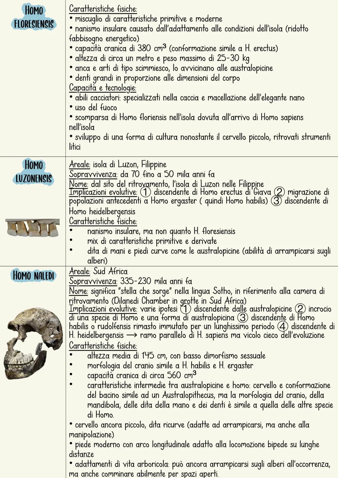 L'ominazione è il processo di evoluzione umana.
L'immagine più comune rappresenta una serie di specie
che sono sostituite in maniera lineare