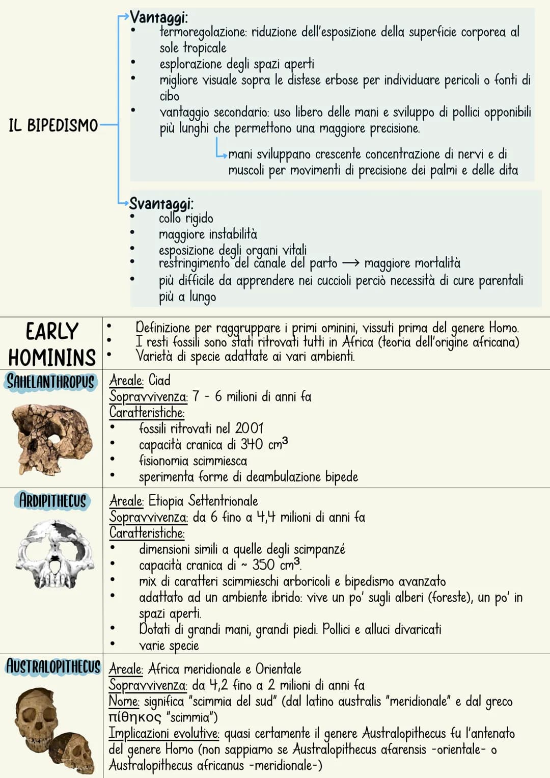 L'ominazione è il processo di evoluzione umana.
L'immagine più comune rappresenta una serie di specie
che sono sostituite in maniera lineare
