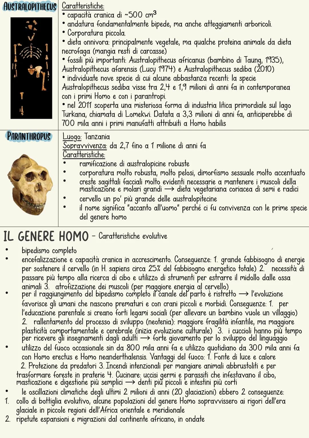 L'ominazione è il processo di evoluzione umana.
L'immagine più comune rappresenta una serie di specie
che sono sostituite in maniera lineare