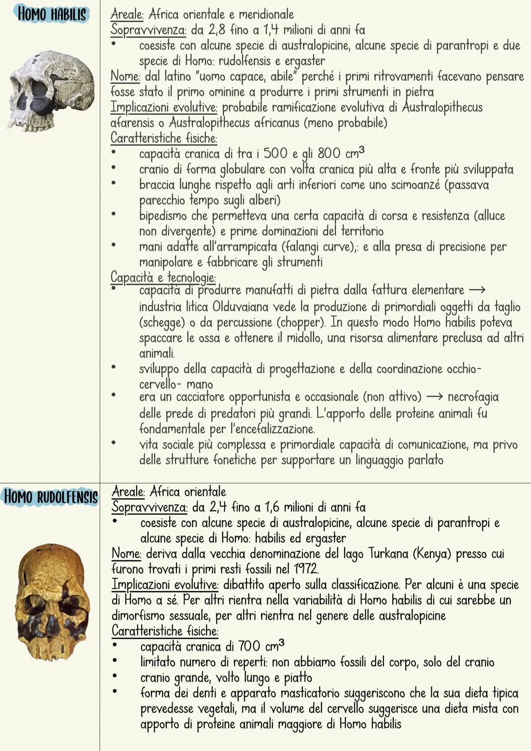 L'ominazione è il processo di evoluzione umana.
L'immagine più comune rappresenta una serie di specie
che sono sostituite in maniera lineare