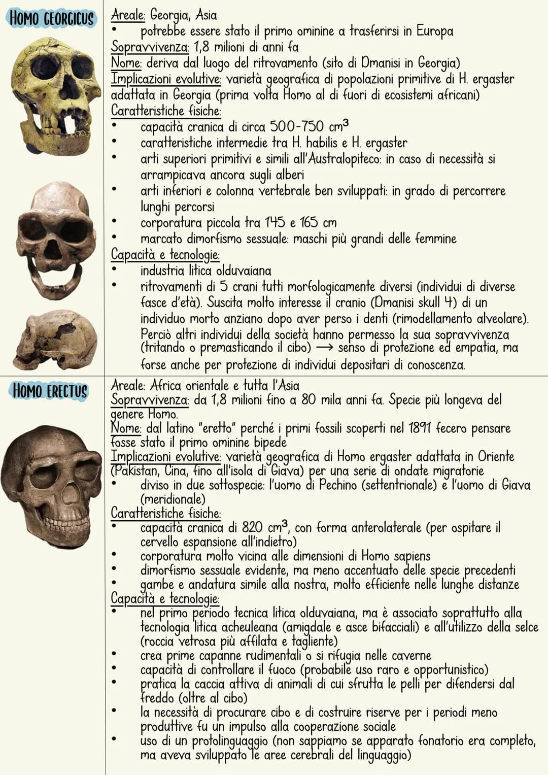 L'ominazione è il processo di evoluzione umana.
L'immagine più comune rappresenta una serie di specie
che sono sostituite in maniera lineare