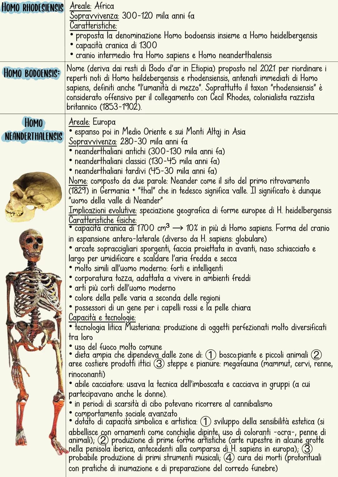 L'ominazione è il processo di evoluzione umana.
L'immagine più comune rappresenta una serie di specie
che sono sostituite in maniera lineare