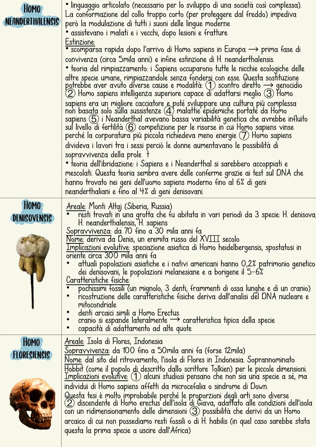 L'ominazione è il processo di evoluzione umana.
L'immagine più comune rappresenta una serie di specie
che sono sostituite in maniera lineare