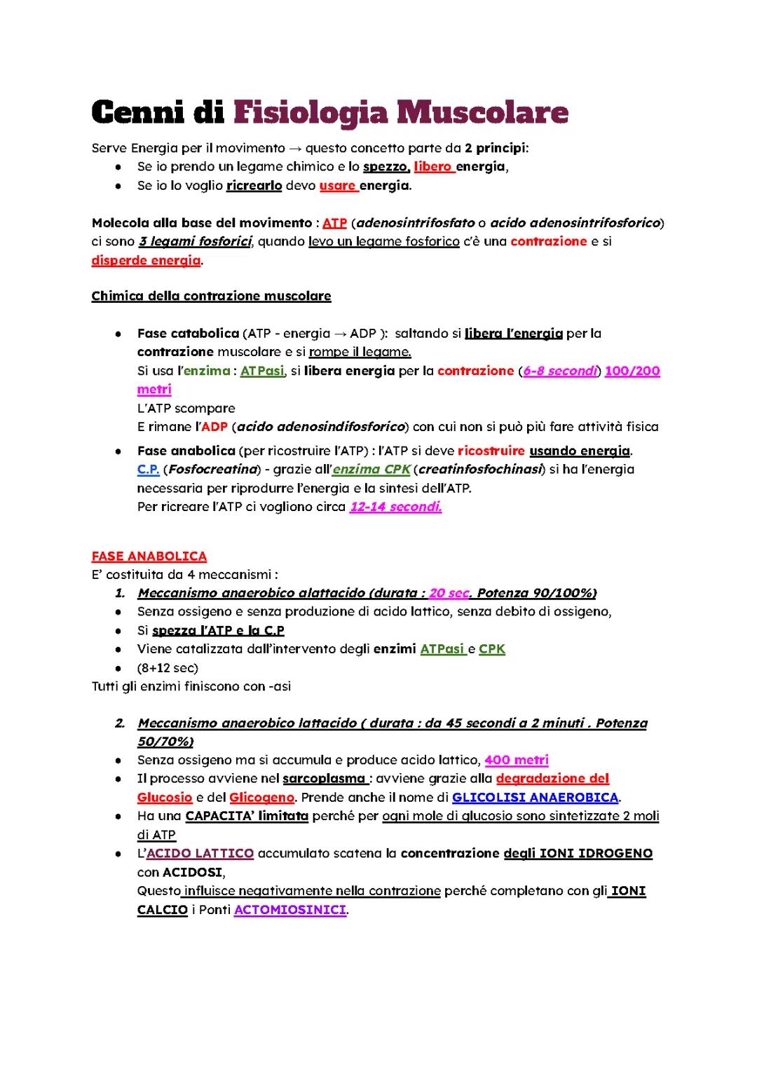 Educazione Fisica : Fisiologia Muscolare