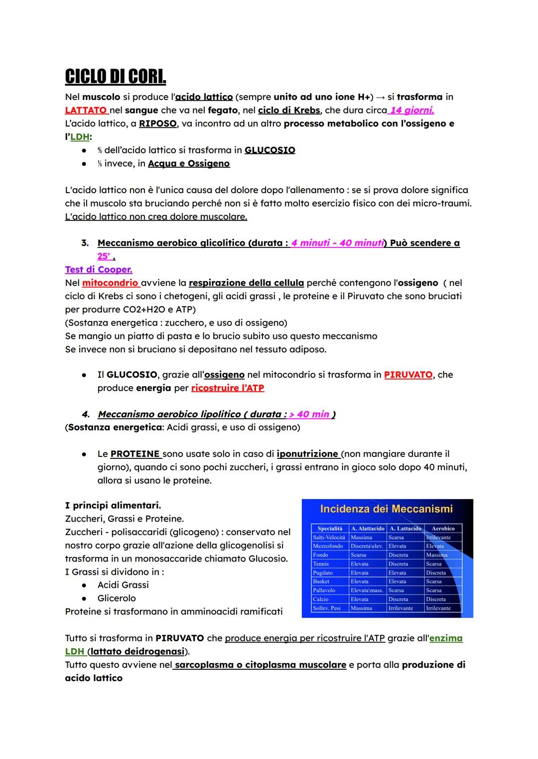 Cenni di Fisiologia Muscolare
Serve Energia per il movimento questo concetto parte da 2 principi:
Se io prendo un legame chimico e lo spezzo