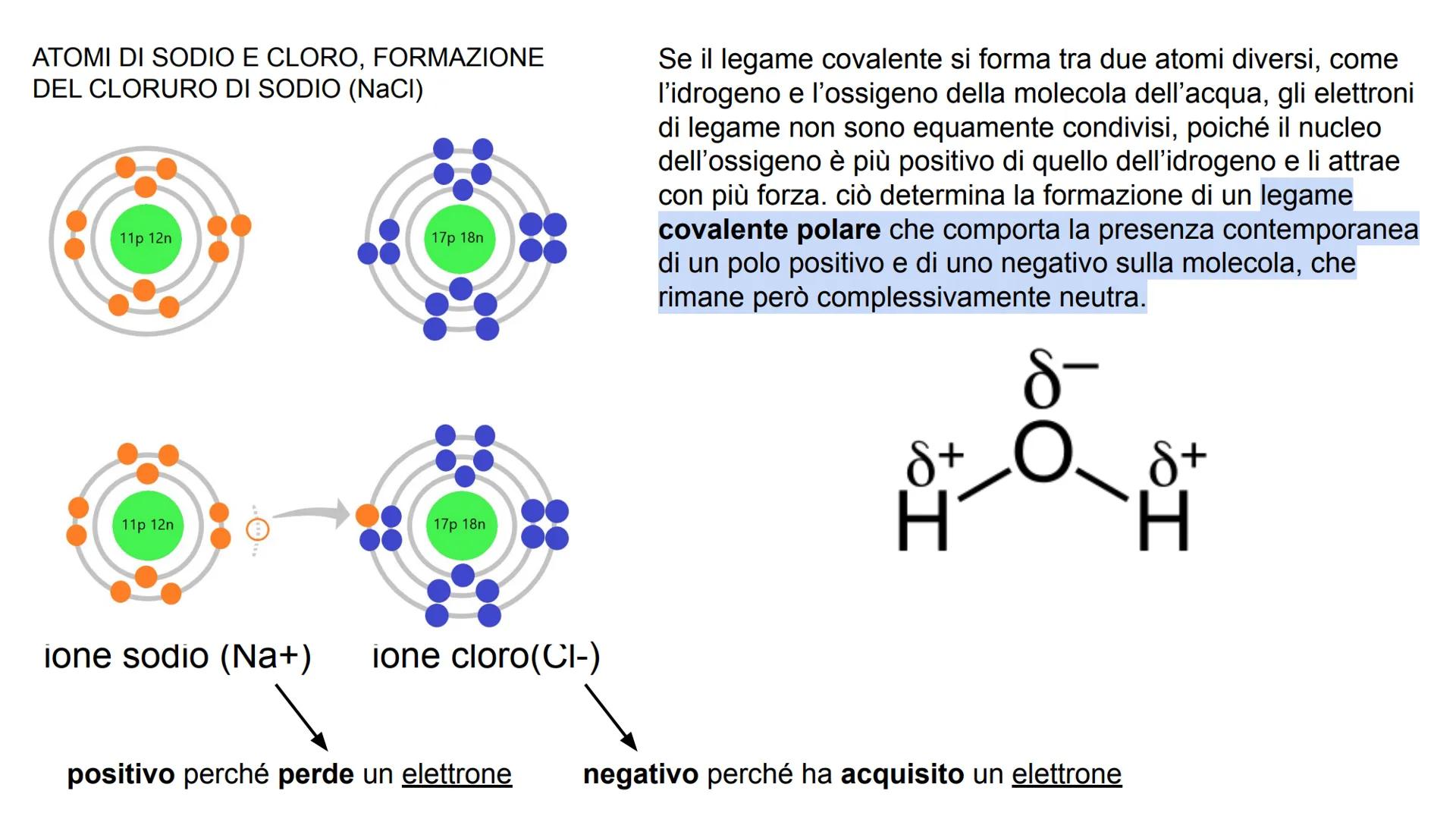 # GLI ATOMI E I LEGAMI CONDIVISI

Tutta la materia è costituita dalla combinazione di
più elementi chimici. L'atomo è la parte più piccola
d