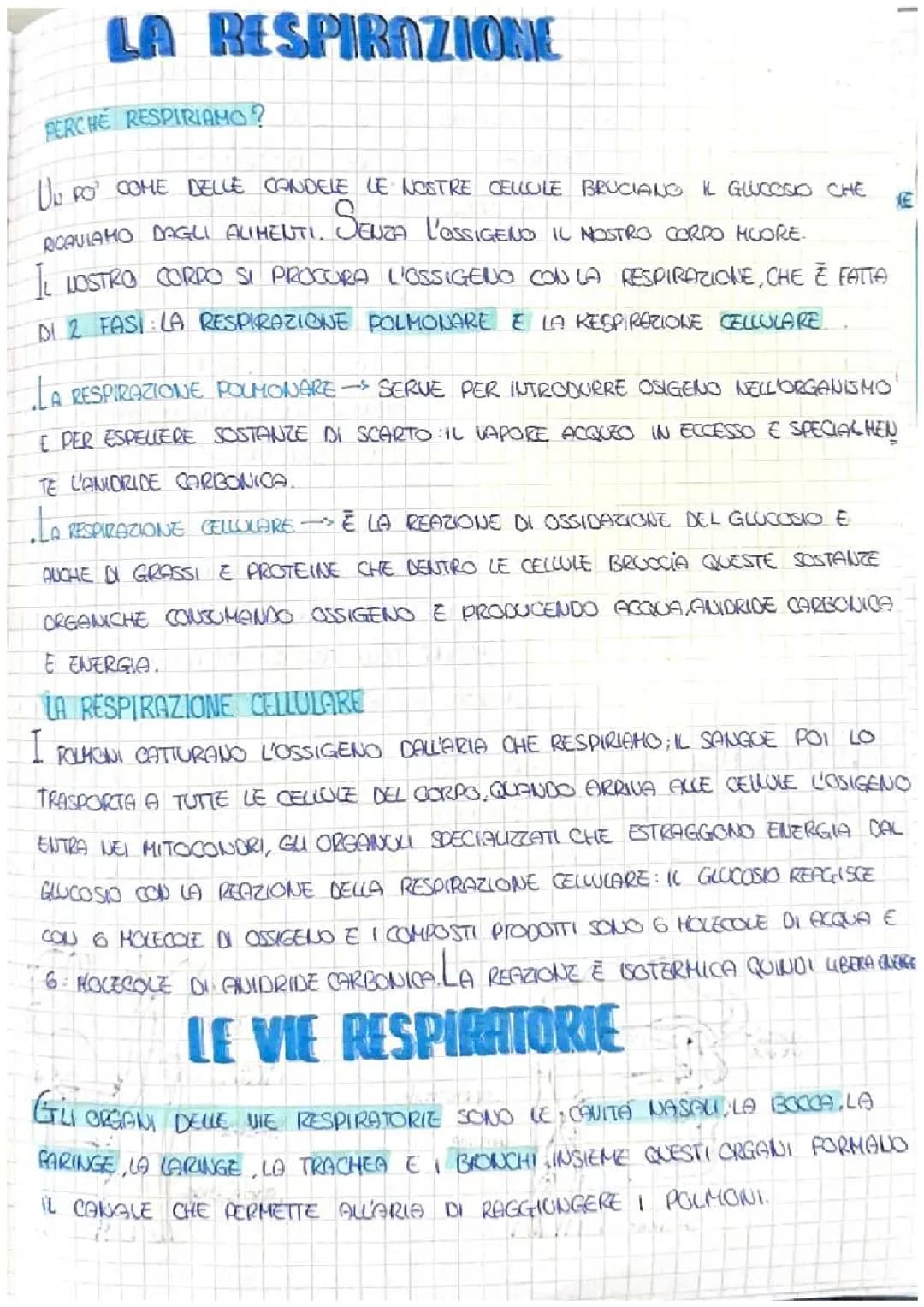 La respirazione 