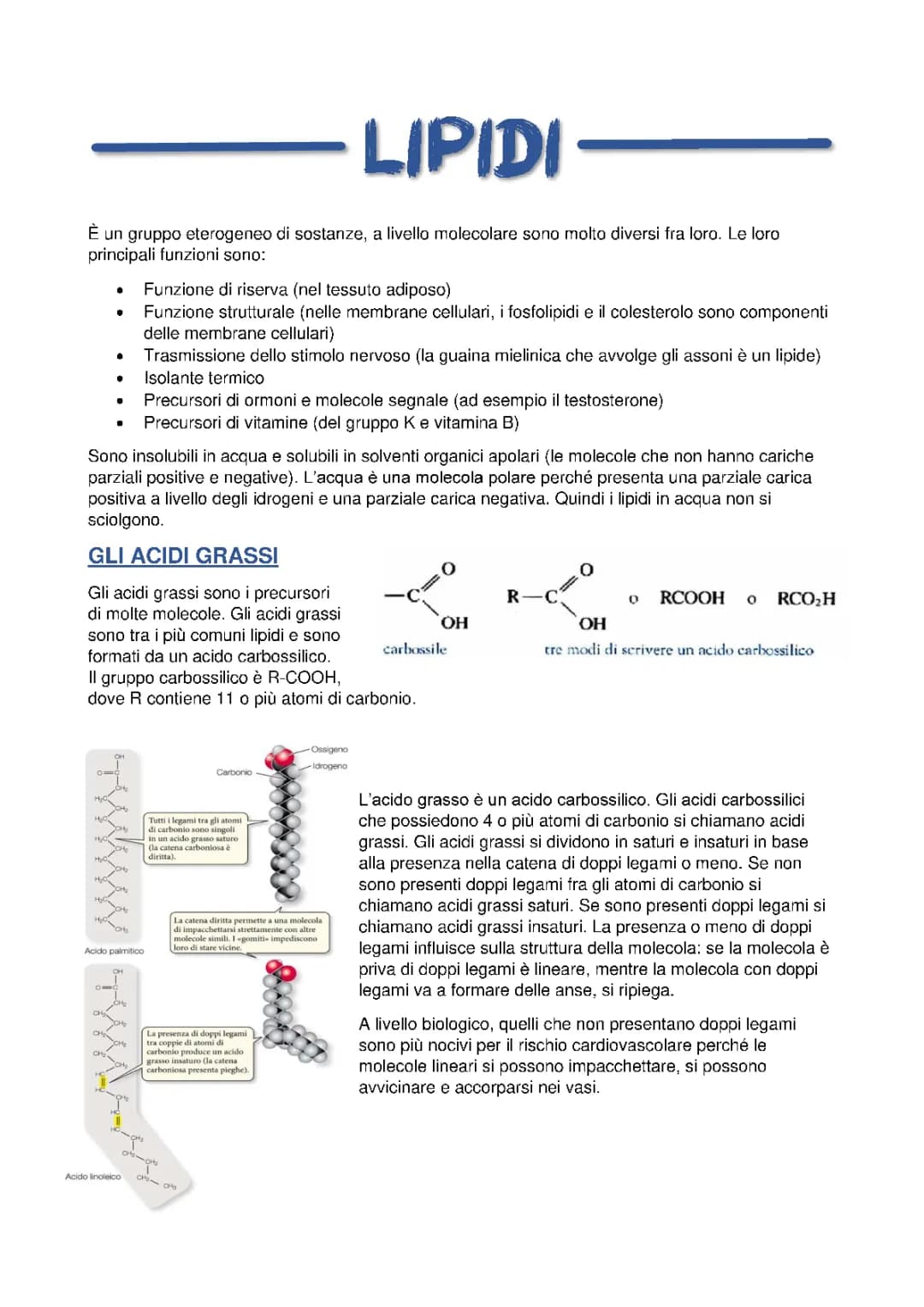 Biomolecole: i lipidi 
