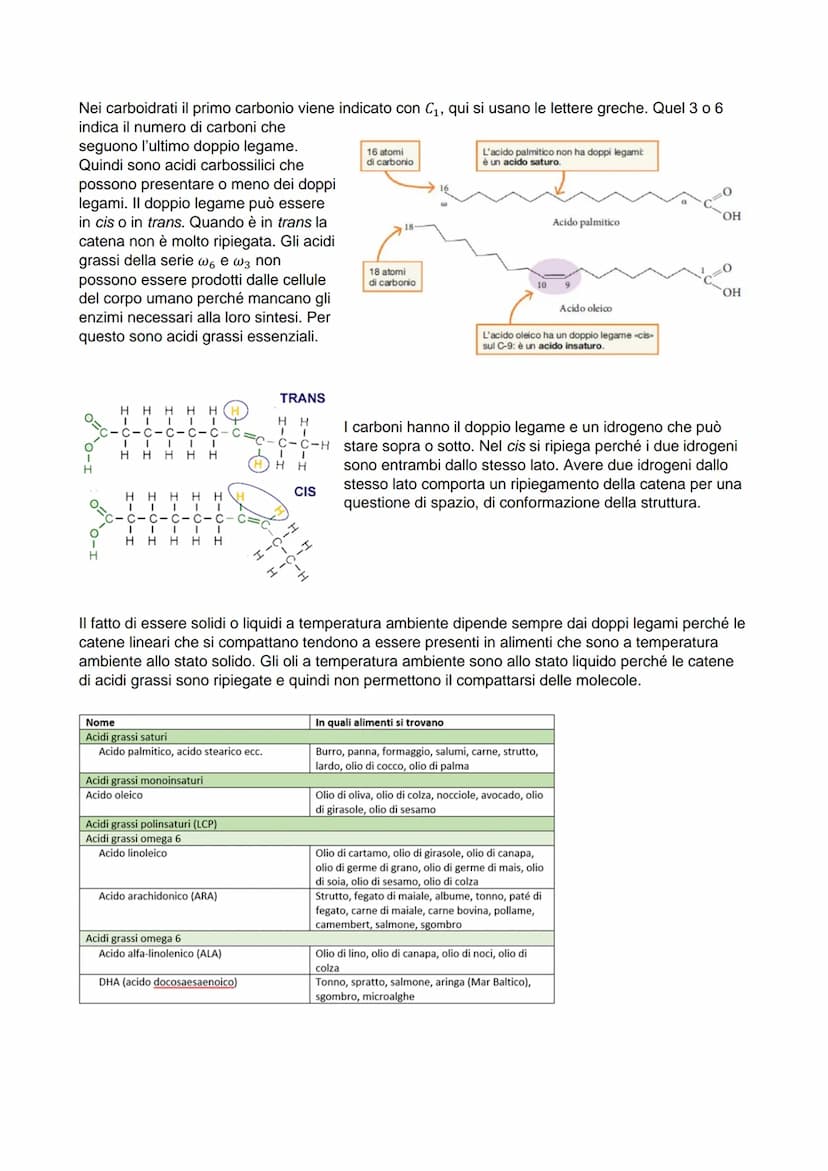 LIPIDI-
È un gruppo eterogeneo di sostanze, a livello molecolare sono molto diversi fra loro. Le loro
principali funzioni sono:
H₂C
H₂C
H₂C
