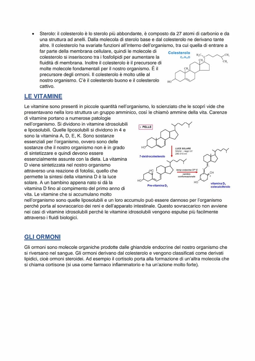 LIPIDI-
È un gruppo eterogeneo di sostanze, a livello molecolare sono molto diversi fra loro. Le loro
principali funzioni sono:
H₂C
H₂C
H₂C

