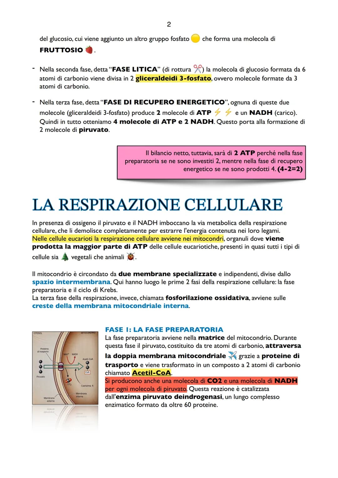 1
Il Metabolismo del Glucosio
Il metabolismo è l'insieme delle reazioni che hanno il
compito di produrre energia. L'energia che utilizzano g