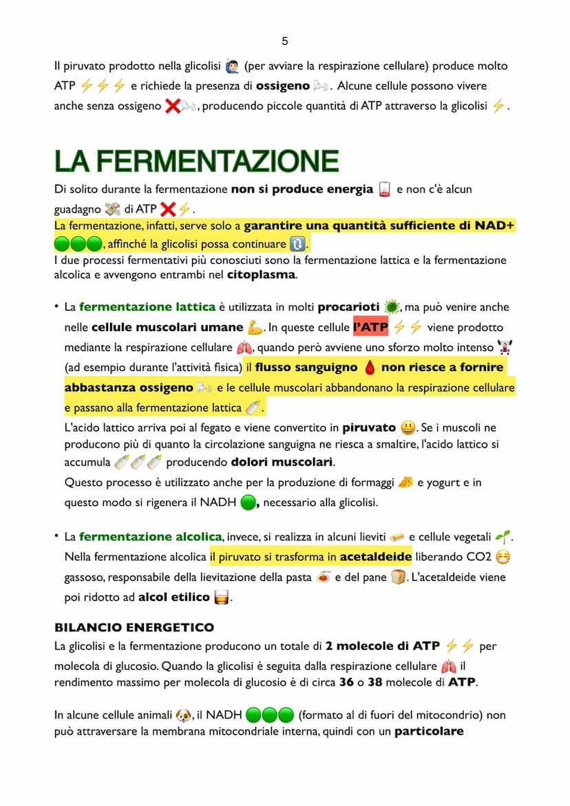 1
Il Metabolismo del Glucosio
Il metabolismo è l'insieme delle reazioni che hanno il
compito di produrre energia. L'energia che utilizzano g