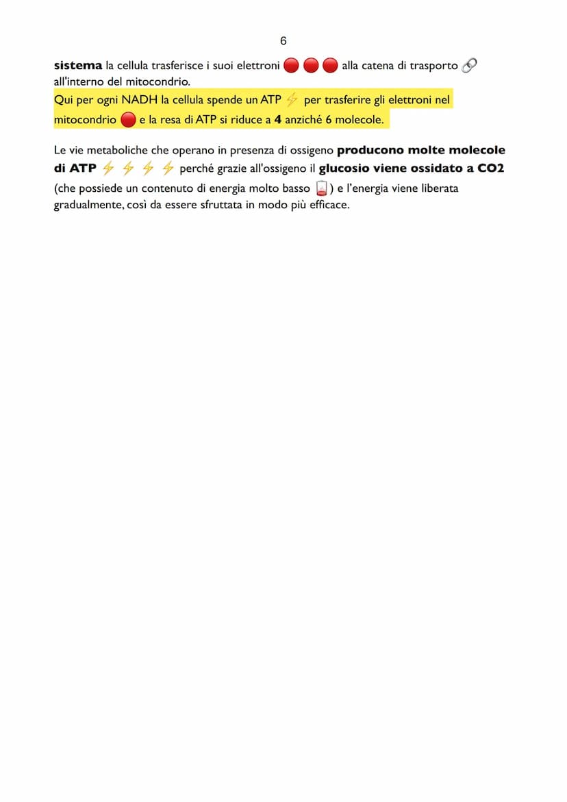 1
Il Metabolismo del Glucosio
Il metabolismo è l'insieme delle reazioni che hanno il
compito di produrre energia. L'energia che utilizzano g