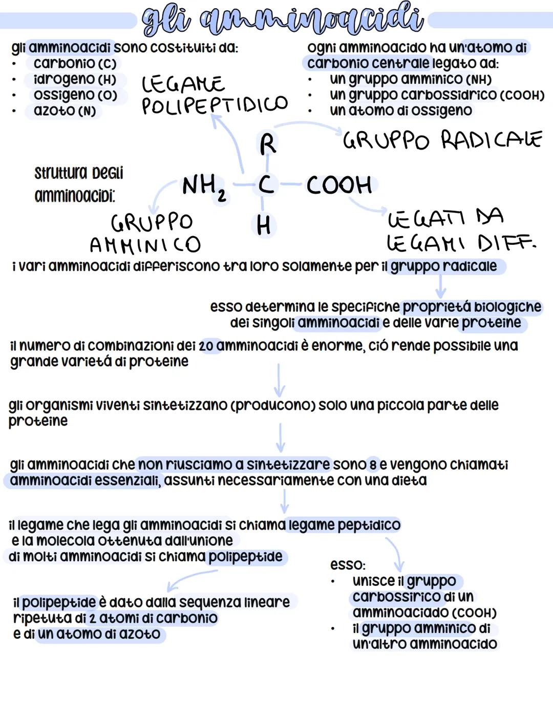 gli amminoacidi sono costituiti da:
carbonio (c)
idrogeno (H)
Ossigeno (0)
azoto (N)
●
●
gli amminoacidi
Struttura DeGli
amminoacidi:
LEGAME