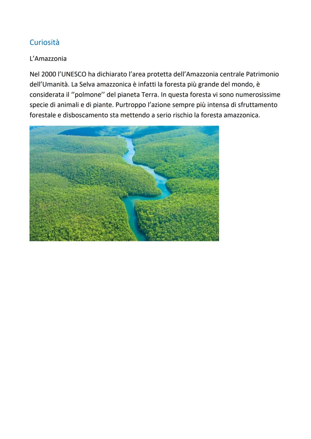 Brasile
Superficie: 8.502.728 km²
Popolazione: 192.379.287 ab.
Densità: 23 ab./km²
Capitale: Brasilia
Forma di governo: repubblica federale
