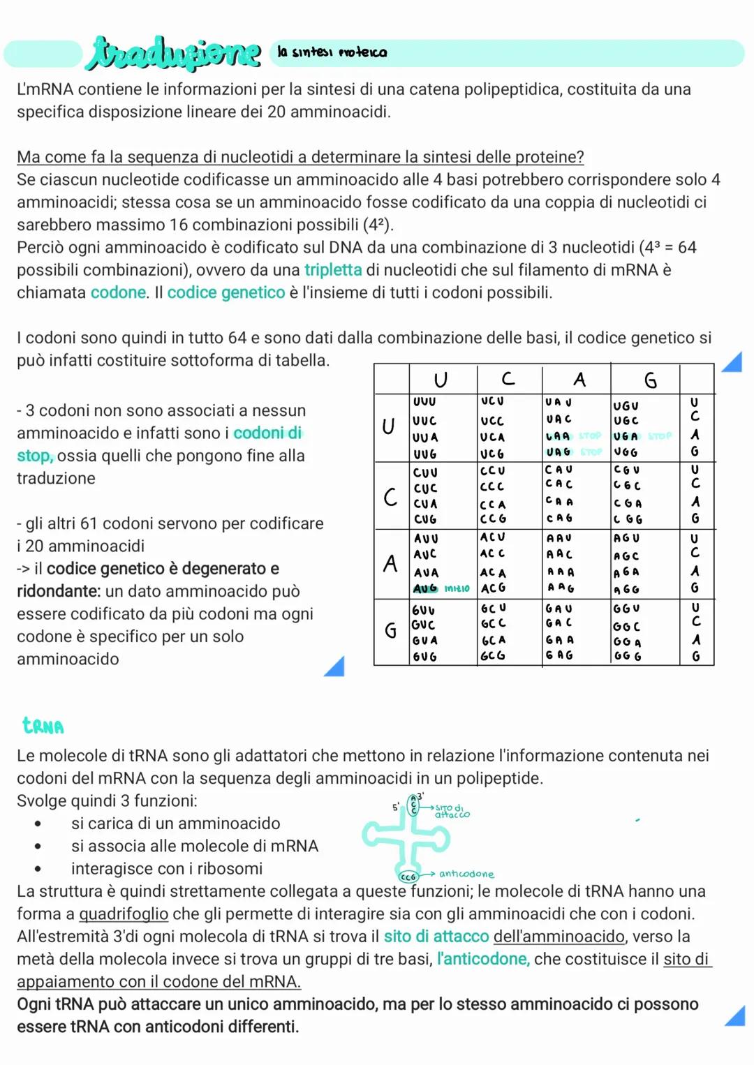 replicazione del DNA
Per poter essere trasmesso ai discendenti il materiale genetico deve essere in grado di duplicarsi.
Gli esperimenti di 