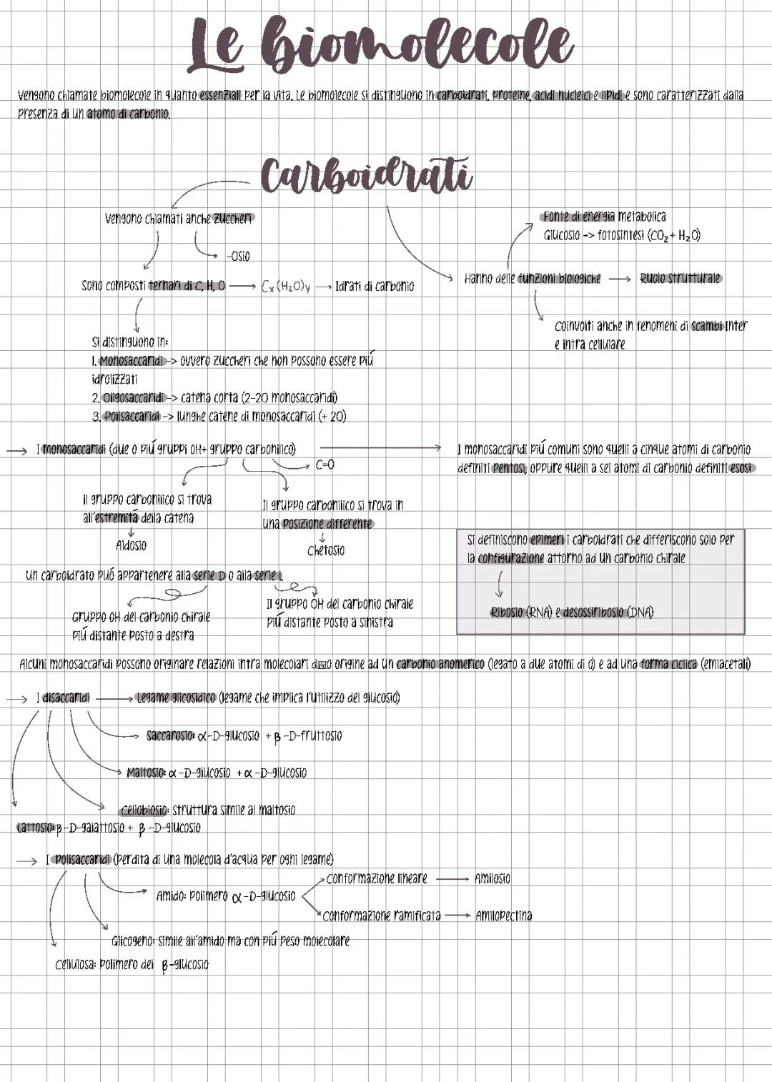 Le biomolecole o molecole della vita