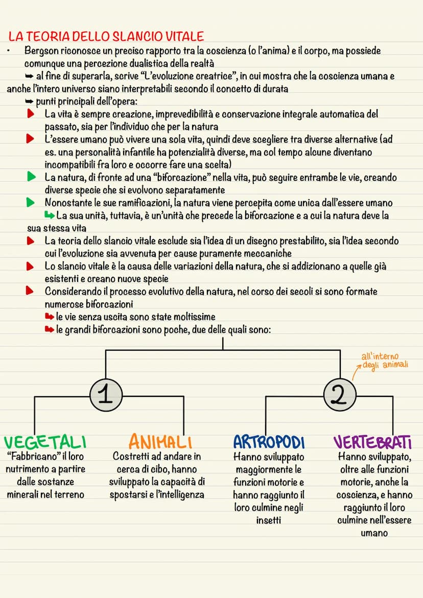 LO SPIRITUALISMO - LA REAZIONE AL POSITIVISMO
la prima metà del 19° secolo è dominata da due principali correnti filosofiche
IDEALISMO
●
.
●